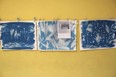 Les cyanogrammes réalisés par les élèves, avec la coupure de presse du journal "Vosges matin"