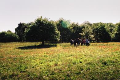 La forêt danse / crédit photo Jef Bonifacino