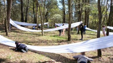 danser dans la nature