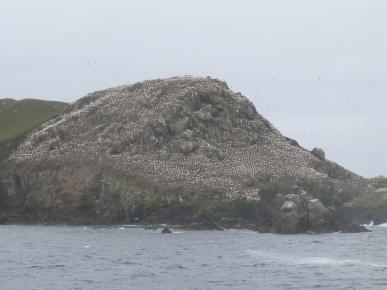 Sortie aux 7 îles