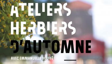 Ateliers herbiers d'automne