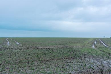 la plaine