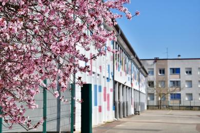 école beaune fleurs