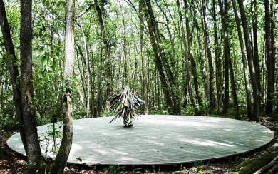 Danser la forêt Lika_Guillemot et Bino_Sauitzvy