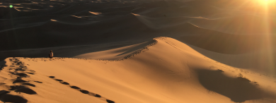 Le désert est immense