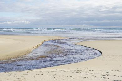 creation en cours Dorian Degoutte Ecole primaire Lit-et-Mixe plage de l'especier