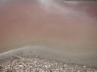 L'eau rose des salins