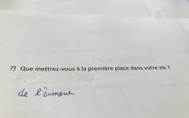 le questionnaire...