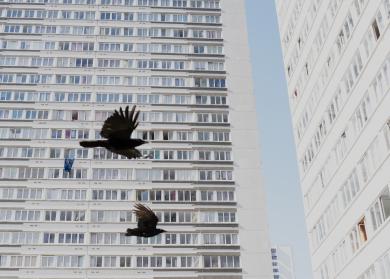 Photographie de Mathias Depardon