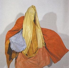  Hélio Oiticica, Parangolé, 1964