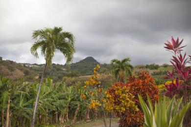 Photographie prise à Morne Vert près du Prêcheur