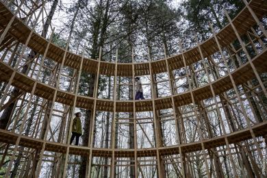 En-dessous, la forêt