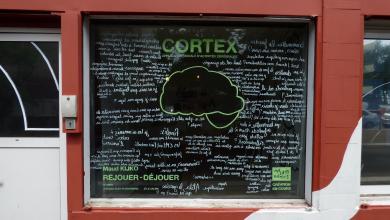 Cortex