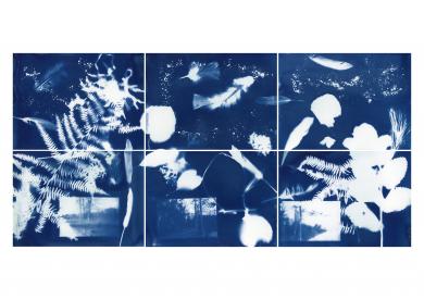 Composition cyanotype réalisée collectivement avec les élèves