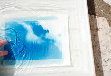 Cyanotype, réalisé grâce au soleil de mars