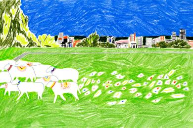 Dessin de la transhumance de mouton