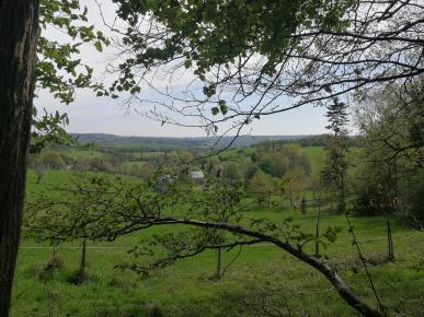 Représentation réelle et subjective de l'Orne. Dans la forêt de Gacé, une ouverture à sa lisière permet d'apercevoir l'étendue vallonée du paysage agricole ornais.