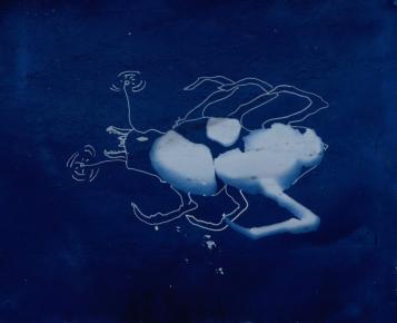 cyanotype de la créature