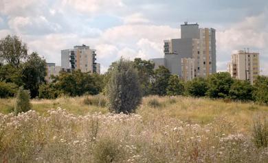 Cinémathèque idéale des banlieues du monde