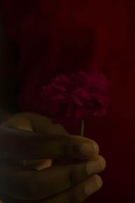 fleur