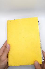 vue de l'édition collective