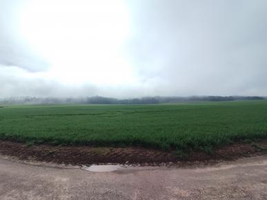 champ à frétigney