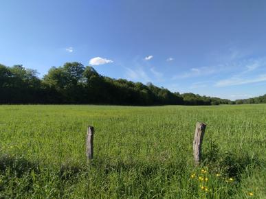 paix sur la plaine